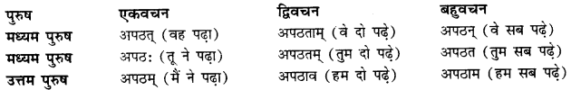 CBSE Class 11 Sanskrit धातुरूपाणि 16