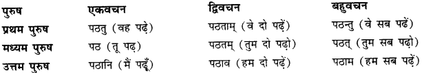 CBSE Class 11 Sanskrit धातुरूपाणि 18