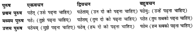 CBSE Class 11 Sanskrit धातुरूपाणि 19