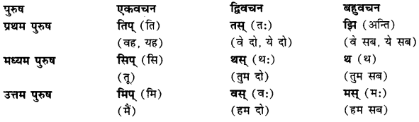 CBSE Class 11 Sanskrit धातुरूपाणि 2