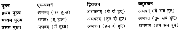 CBSE Class 11 Sanskrit धातुरूपाणि 21