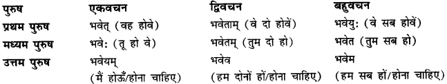 CBSE Class 11 Sanskrit धातुरूपाणि 24