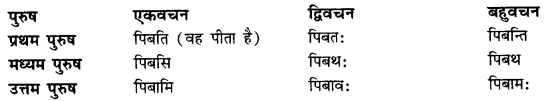 CBSE Class 11 Sanskrit धातुरूपाणि 25
