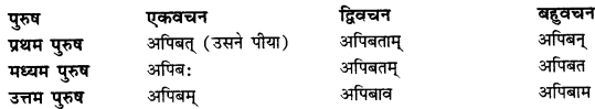 CBSE Class 11 Sanskrit धातुरूपाणि 26