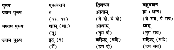 CBSE Class 11 Sanskrit धातुरूपाणि 3