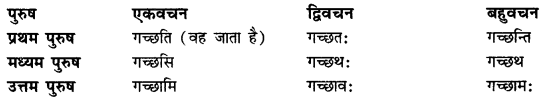 CBSE Class 11 Sanskrit धातुरूपाणि 31