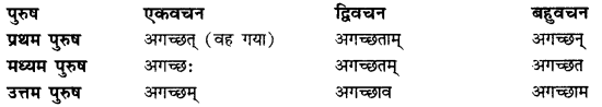 CBSE Class 11 Sanskrit धातुरूपाणि 32