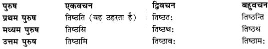 CBSE Class 11 Sanskrit धातुरूपाणि 37