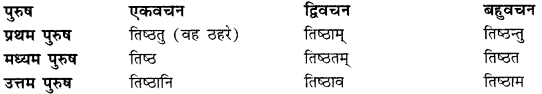 CBSE Class 11 Sanskrit धातुरूपाणि 40