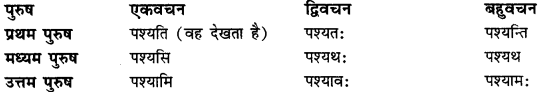 CBSE Class 11 Sanskrit धातुरूपाणि 43