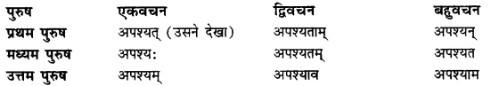 CBSE Class 11 Sanskrit धातुरूपाणि 44