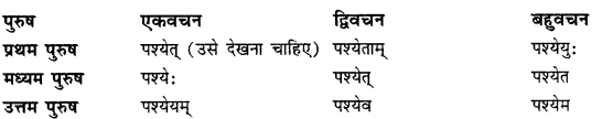 CBSE Class 11 Sanskrit धातुरूपाणि 47