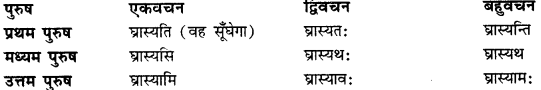 CBSE Class 11 Sanskrit धातुरूपाणि 51
