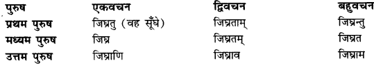 CBSE Class 11 Sanskrit धातुरूपाणि 52