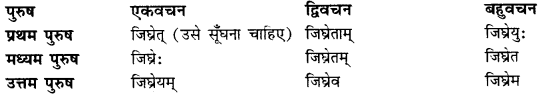CBSE Class 11 Sanskrit धातुरूपाणि 53