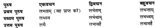 CBSE Class 11 Sanskrit धातुरूपाणि 63