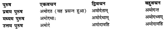 CBSE Class 11 Sanskrit धातुरूपाणि 66