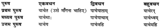 CBSE Class 11 Sanskrit धातुरूपाणि 75