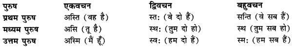 CBSE Class 11 Sanskrit धातुरूपाणि 81