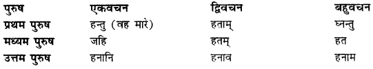 CBSE Class 11 Sanskrit धातुरूपाणि 91