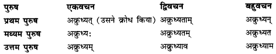 CBSE Class 11 Sanskrit धातुरूपाणि 99