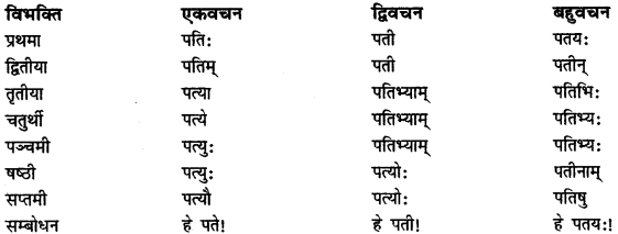 CBSE Class 11 Sanskrit शब्दरूपाणि 11
