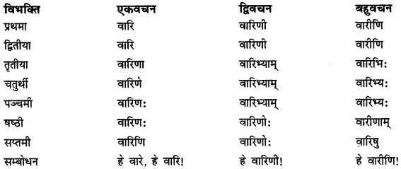 CBSE Class 11 Sanskrit शब्दरूपाणि 12