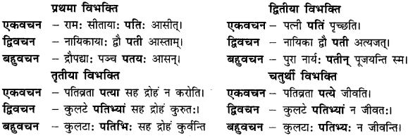 CBSE Class 11 Sanskrit शब्दरूपाणि 15
