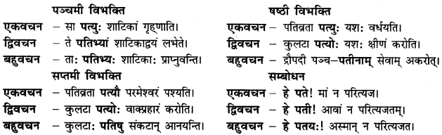 CBSE Class 11 Sanskrit शब्दरूपाणि 16