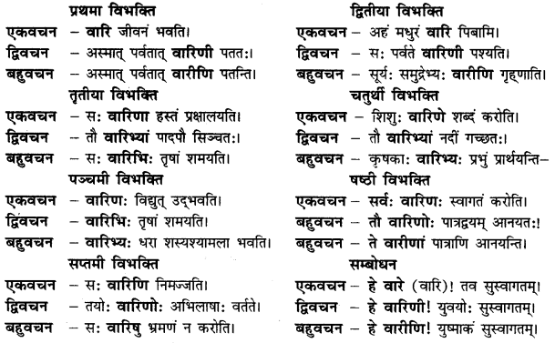 CBSE Class 11 Sanskrit शब्दरूपाणि 17