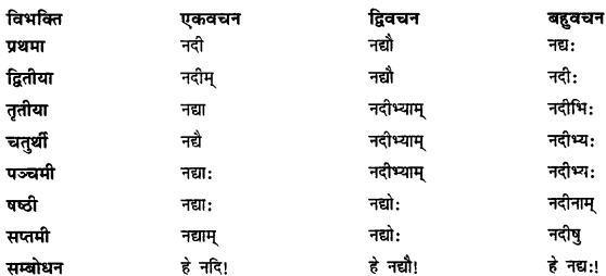 CBSE Class 11 Sanskrit शब्दरूपाणि 19