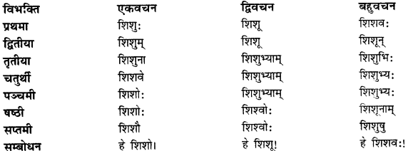 CBSE Class 11 Sanskrit शब्दरूपाणि 21