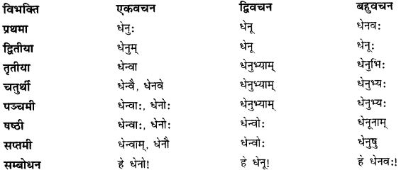 CBSE Class 11 Sanskrit शब्दरूपाणि 23