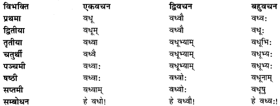 CBSE Class 11 Sanskrit शब्दरूपाणि 26