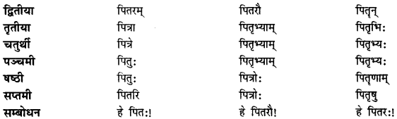 CBSE Class 11 Sanskrit शब्दरूपाणि 29