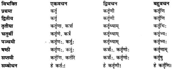 CBSE Class 11 Sanskrit शब्दरूपाणि 31
