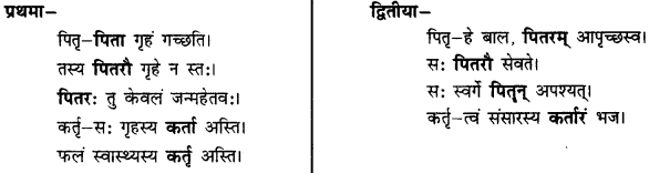 CBSE Class 11 Sanskrit शब्दरूपाणि 32