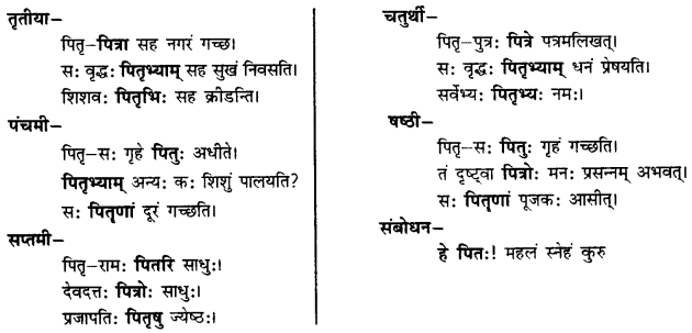 CBSE Class 11 Sanskrit शब्दरूपाणि 33