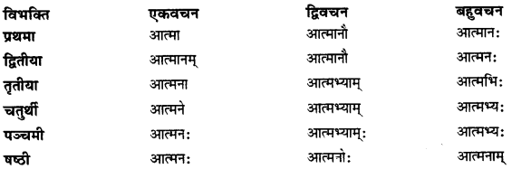 CBSE Class 11 Sanskrit शब्दरूपाणि 35