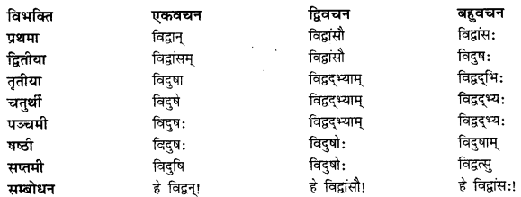 CBSE Class 11 Sanskrit शब्दरूपाणि 37