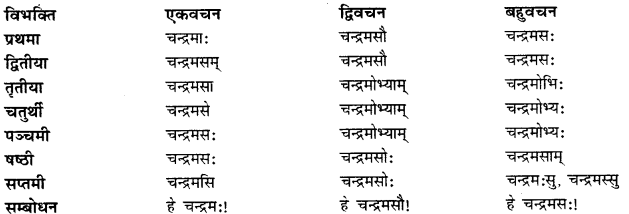 CBSE Class 11 Sanskrit शब्दरूपाणि 38