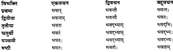 CBSE Class 11 Sanskrit शब्दरूपाणि 39