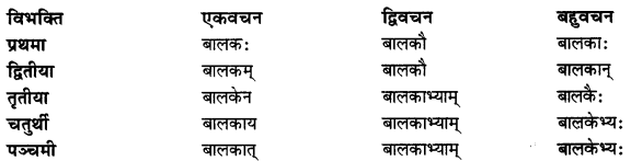 CBSE Class 11 Sanskrit शब्दरूपाणि 4