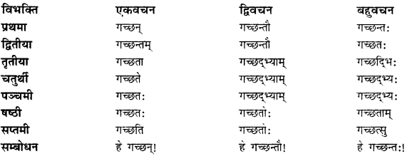 CBSE Class 11 Sanskrit शब्दरूपाणि 40