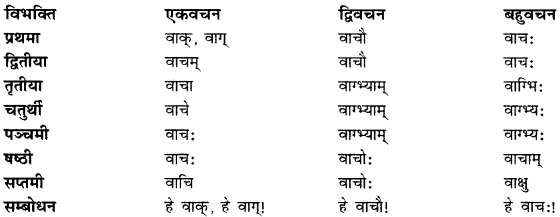 CBSE Class 11 Sanskrit शब्दरूपाणि 41