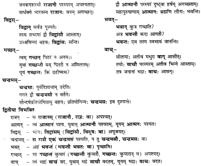 CBSE Class 11 Sanskrit शब्दरूपाणि 43