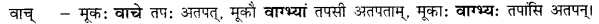 CBSE Class 11 Sanskrit शब्दरूपाणि 45