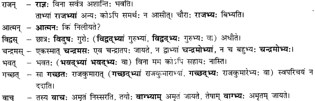 CBSE Class 11 Sanskrit शब्दरूपाणि 46