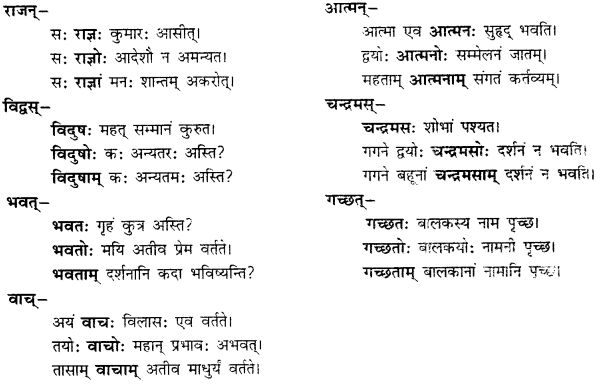 CBSE Class 11 Sanskrit शब्दरूपाणि 47