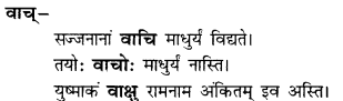 CBSE Class 11 Sanskrit शब्दरूपाणि 49